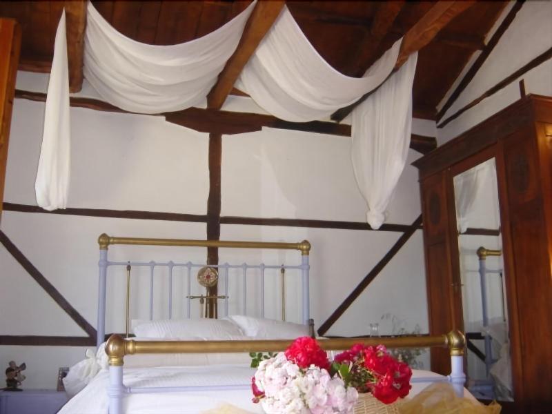 Pavezzo Country Retreat Aparthotel Katouna